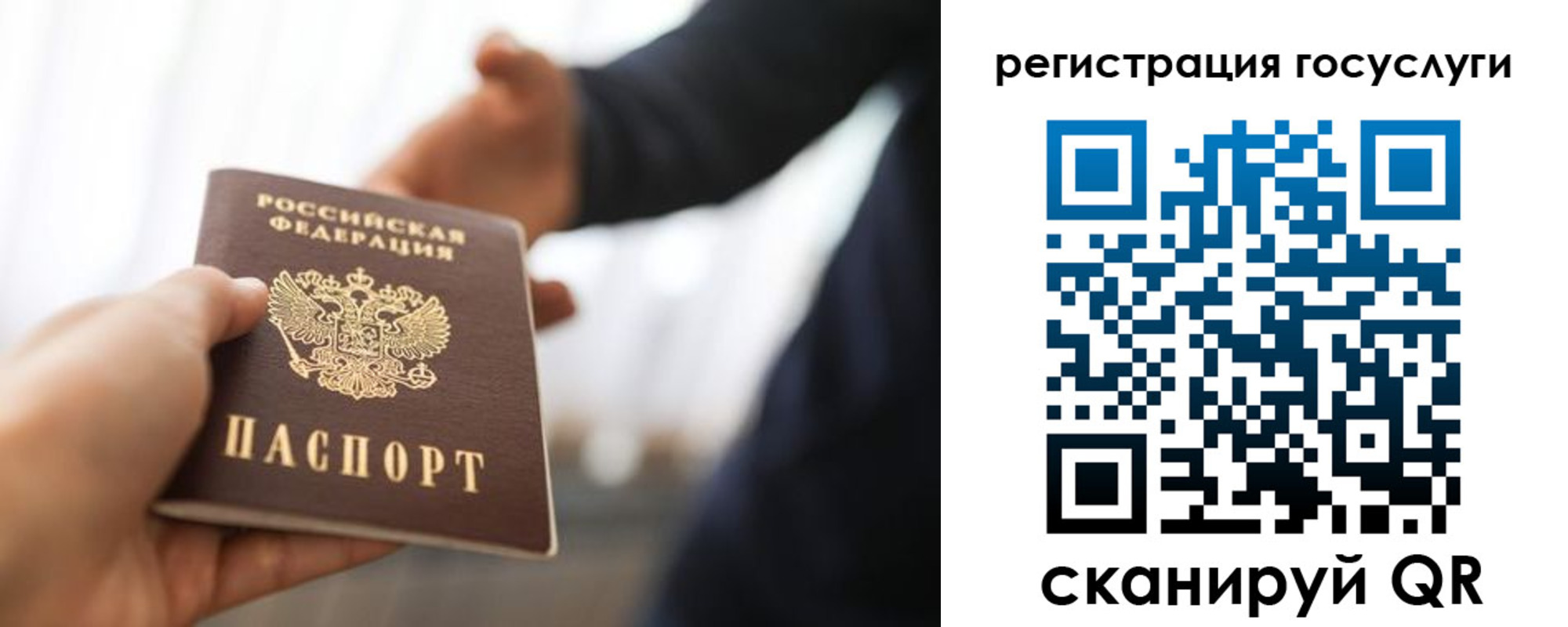 временная регистрация поиск в Сольцах
